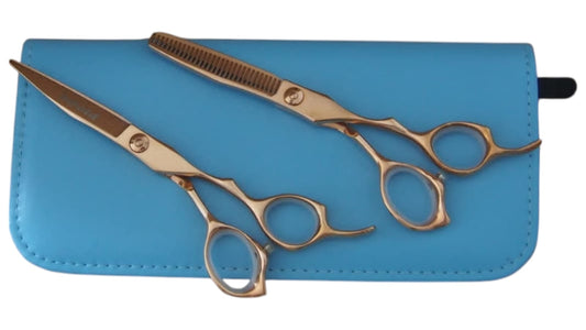 Professional Hair Cutting Scissors Set – 6.0″ | Straight & Thinning Shears
