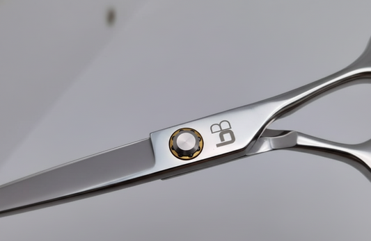 BBold 8.0" Silver Straight & Thinning Shear Set – Black Inserts